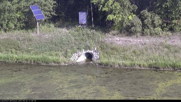 Basin Inflow_23-08-26_17-08-34-88