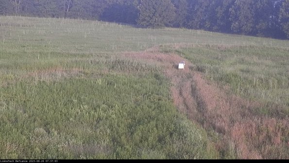 Cell 1 to 2_23-08-26_07-37-03-87