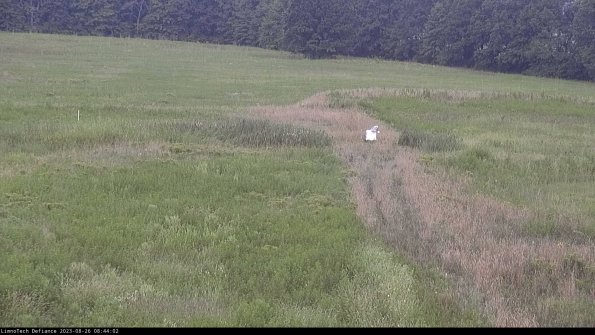 Cell 1 to 2_23-08-26_08-44-02-88