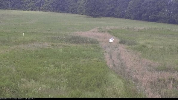 Cell 1 to 2_23-08-26_09-17-31-90