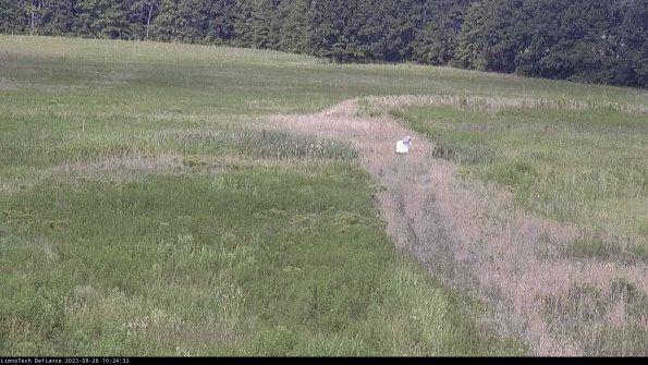 Cell 1 to 2_23-08-26_10-24-32-88