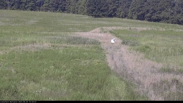 Cell 1 to 2_23-08-26_10-58-01-90