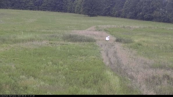 Cell 1 to 2_23-08-26_11-31-29-88