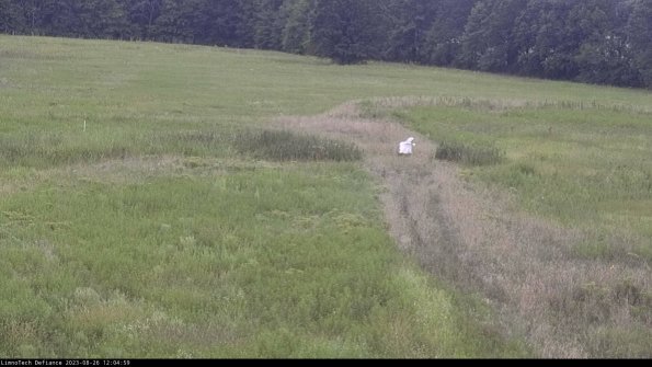 Cell 1 to 2_23-08-26_12-04-59-87