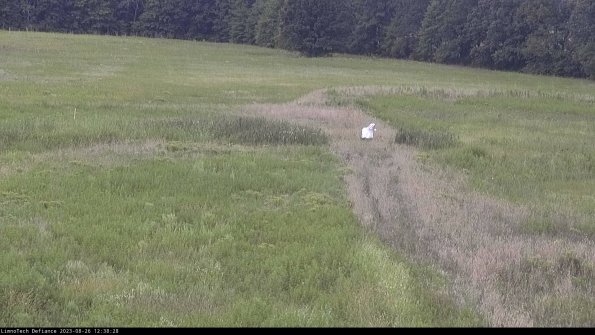 Cell 1 to 2_23-08-26_12-38-28-89