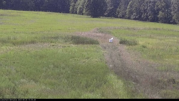 Cell 1 to 2_23-08-26_15-59-28-88