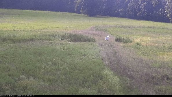 Cell 1 to 2_23-08-26_17-39-59-91