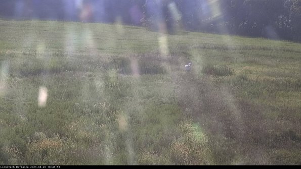 Cell 1 to 2_23-08-26_18-46-58-88