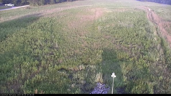 Cell 1_23-08-26_07-36-49-89