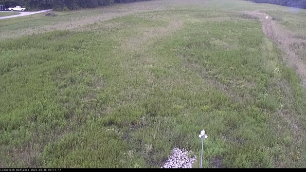 Cell 1_23-08-26_09-17-17-89