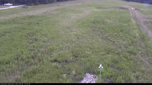 Cell 1_23-08-26_12-04-45-89