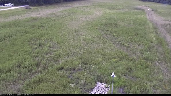 Cell 1_23-08-26_12-38-14-88