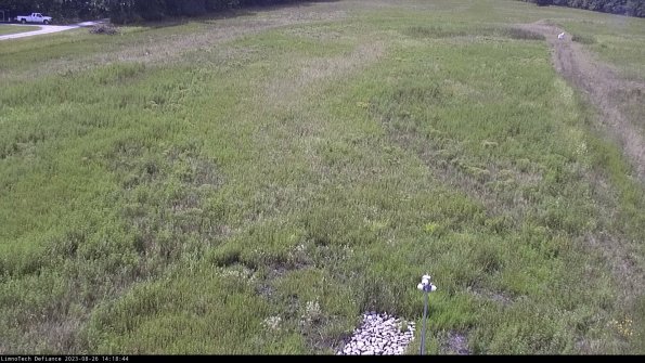 Cell 1_23-08-26_14-18-44-87