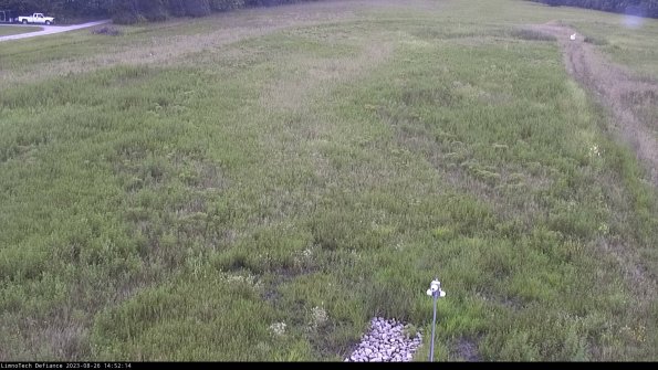 Cell 1_23-08-26_14-52-14-89