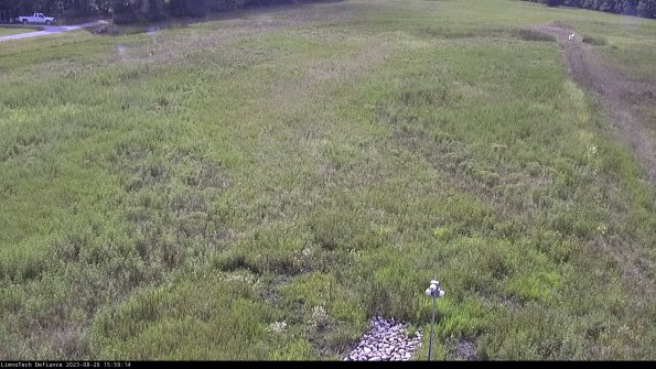 Cell 1_23-08-26_15-59-14-90