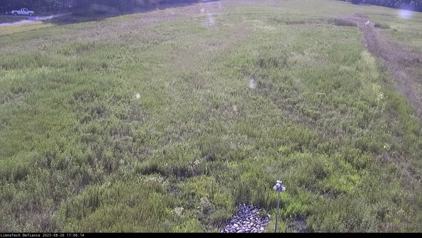 Cell 1_23-08-26_17-06-14-87