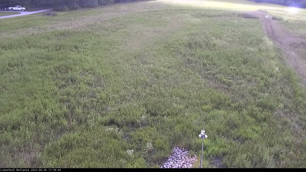 Cell 1_23-08-26_17-39-45-89