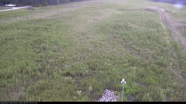 Cell 1_23-08-26_18-13-14-88