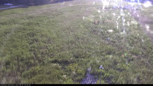 Cell 1_23-08-26_18-46-44-86