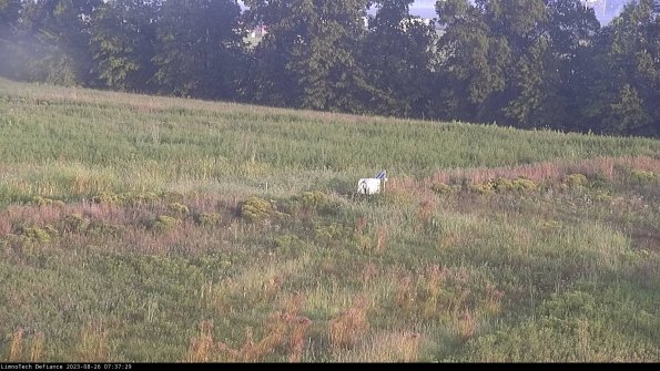 Cell 2 to 3_23-08-26_07-37-30-00