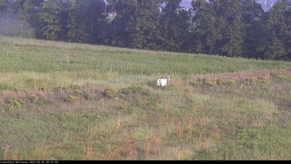 Cell 2 to 3_23-08-26_08-10-59-92