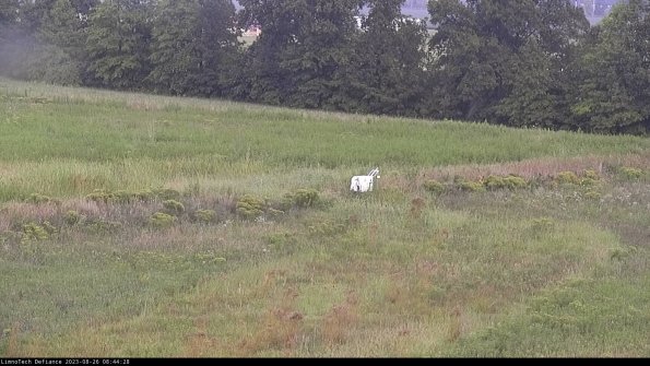 Cell 2 to 3_23-08-26_08-44-29-07