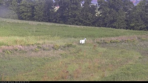 Cell 2 to 3_23-08-26_09-17-58-00