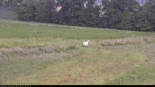 Cell 2 to 3_23-08-26_09-51-29-12