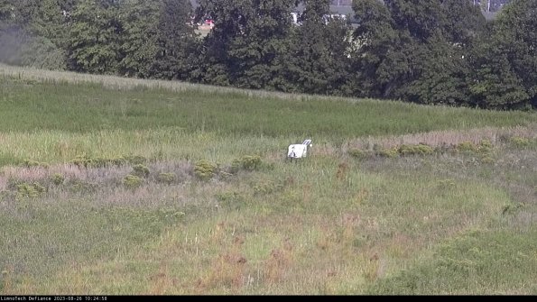 Cell 2 to 3_23-08-26_10-24-58-94