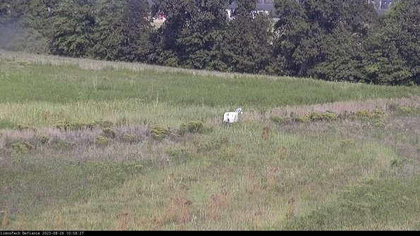 Cell 2 to 3_23-08-26_10-58-27-92