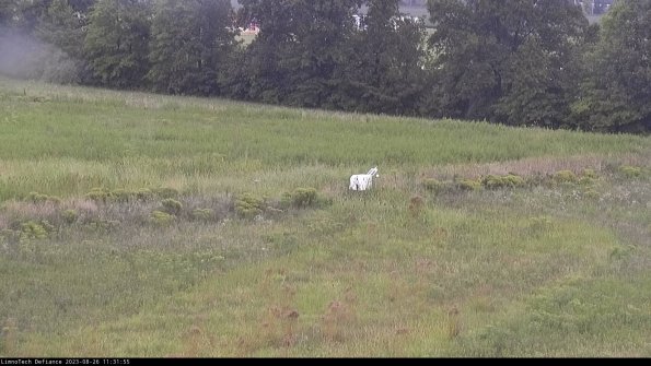 Cell 2 to 3_23-08-26_11-31-56-01