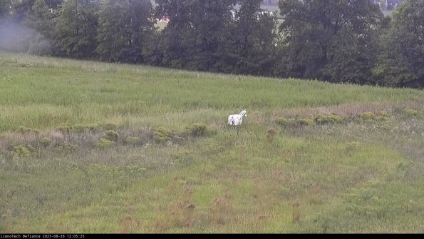 Cell 2 to 3_23-08-26_12-05-26-03