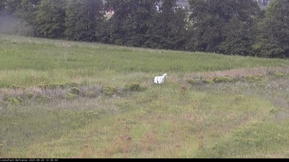 Cell 2 to 3_23-08-26_12-38-55-02