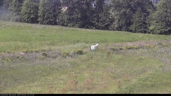 Cell 2 to 3_23-08-26_14-19-25-01