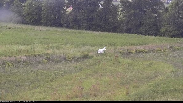 Cell 2 to 3_23-08-26_14-52-54-99