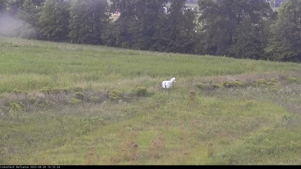 Cell 2 to 3_23-08-26_16-33-25-02