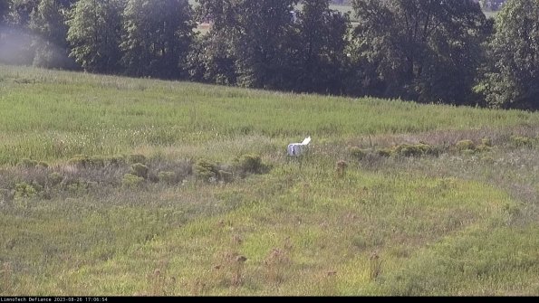 Cell 2 to 3_23-08-26_17-06-55-08