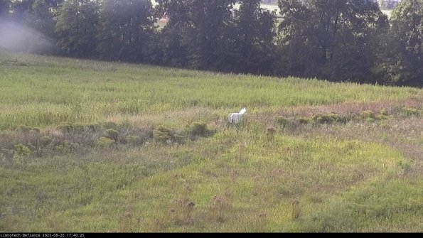 Cell 2 to 3_23-08-26_17-40-25-96