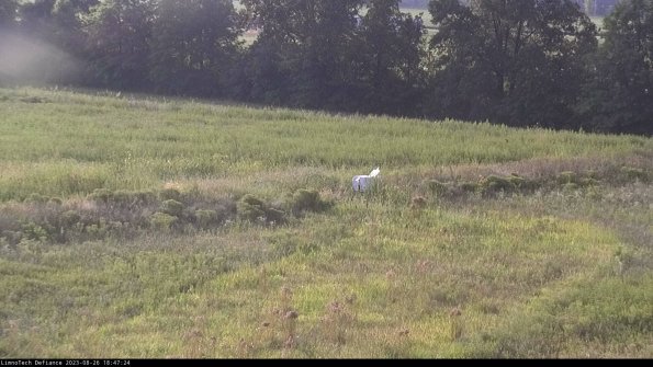 Cell 2 to 3_23-08-26_18-47-24-97