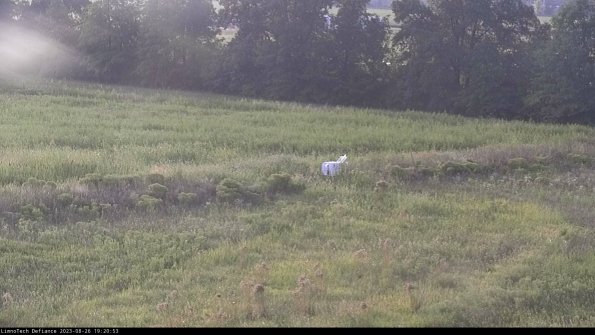 Cell 2 to 3_23-08-26_19-20-53-96