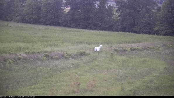 Cell 2 to 3_23-08-26_20-27-54-03