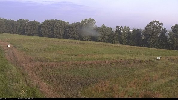 Cell 2_23-08-26_08-10-46-91