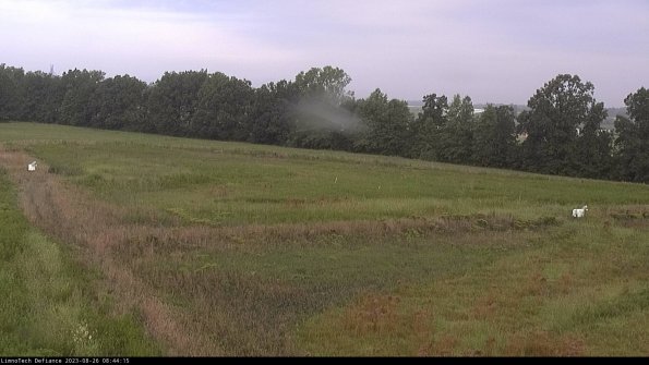 Cell 2_23-08-26_08-44-15-96