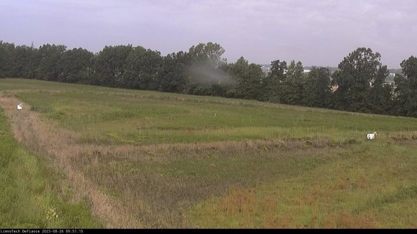 Cell 2_23-08-26_09-51-15-97