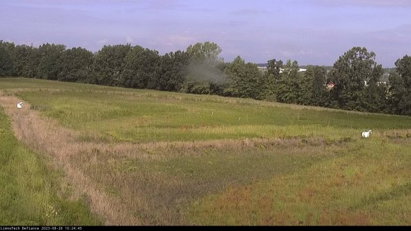 Cell 2_23-08-26_10-24-45-89