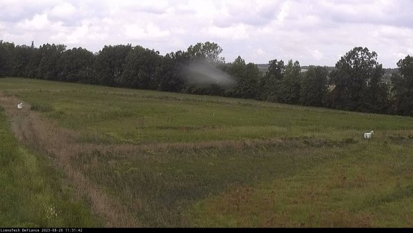 Cell 2_23-08-26_11-31-42-90