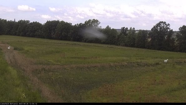 Cell 2_23-08-26_12-05-12-88