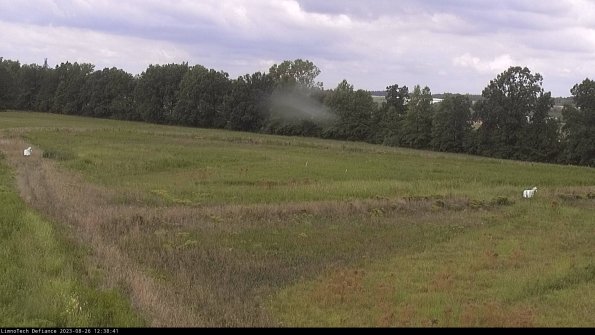 Cell 2_23-08-26_12-38-41-90