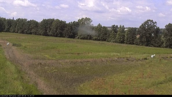 Cell 2_23-08-26_13-45-41-91