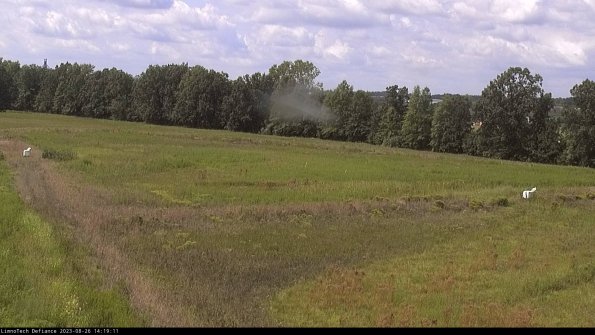 Cell 2_23-08-26_14-19-11-93